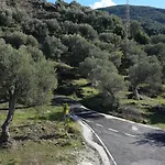 Olivet 3* Vlorë