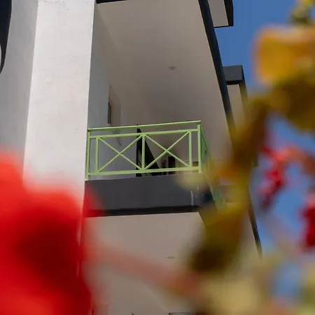 Olivet Hotel 3*