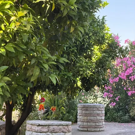 Olivet 호텔 Vlorë